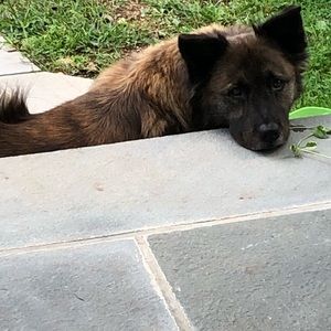 Meet your Posher, Kaitlyn